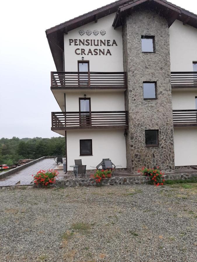 Отель Complex Transalpina Aninisu din Vale Экстерьер фото
